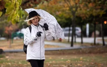 Environment Canada Alerts B.C. to Snowfall, High Winds, Power Outages