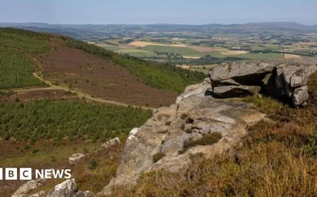 Sir David Attenborough Supports Campaign to Purchase Rothbury Estate