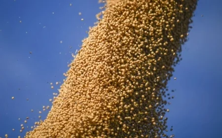 China Purchases U.S. Soybeans Ahead of Critical Trump-Xi Meeting