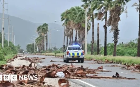 Hurricane Melissa Leaves Jamaica in Darkness and Destruction