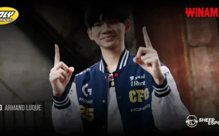 CFO HongQ: Committed to Giving All, Ensuring No Regrets