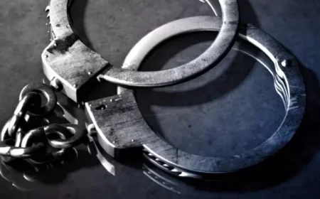 Healey’s Western Mass. Office Member Arrested on Drug and Gun Charges