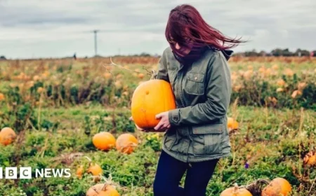 Wind Warning Forces Cancellation, Rescheduling of Halloween Events