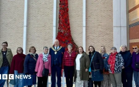 Handcrafted Poppy Display Unveiled for Remembrance Day Tribute