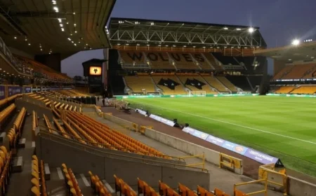 Wolves Clash with Chelsea: League Cup Highlights and Live Blog