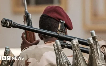 WHO Chief Condemns Mass Killings Reports at Sudan’s El-Fasher Hospital