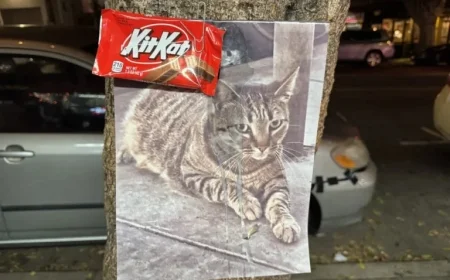 Waymo Allegedly Kills KitKat, Beloved Liquor Store Mascot and Community Icon