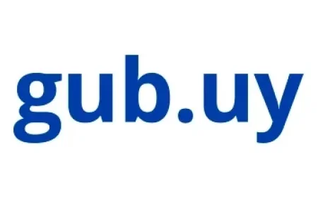 Why Was Racing vs. Flamengo’s Copa Libertadores Match Delayed?