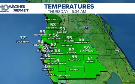 Tampa weather this week: cool mornings, sun-drenched afternoons, brief shower chance Monday