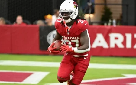 Patriots Add Veteran RB D’Ernest Johnson to Practice Squad