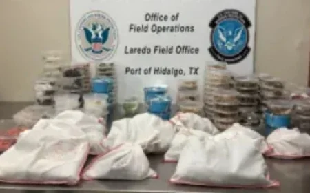 163 Exotic Animals, Including Pythons and Tarantulas, Seized at U.S.-Mexico Border