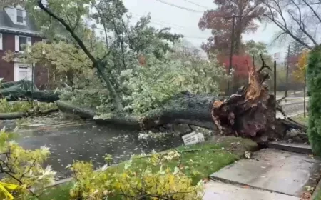 NYC Storms: Heavy Rain and Winds Disrupt Transit, Cause Damage in NJ