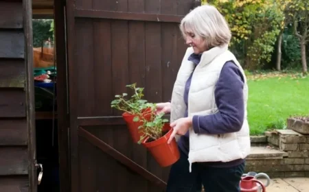 Extend Your Summer Garden’s Life: Essential Steps for Year-Round Health