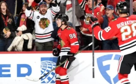 Canadian Investment Regulatory Organization Halts NBLC Trading