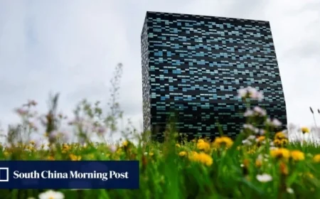 Netherlands Pressured to Relinquish Nexperia Control After Xi-Trump Summit