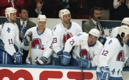 Did the Nordiques’ Departure Sway the Referendum Outcome?