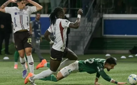 Controversial Incident in Palmeiras vs. LDU Match Sparks Debate: ‘Brutal’