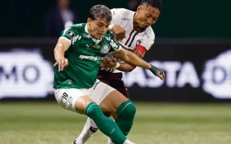 Palmeiras vs. LDU: Watch Top Highlights from the Libertadores Match