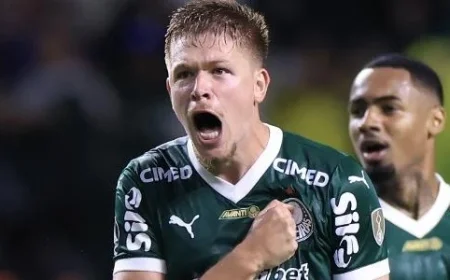 Palmeiras Achieves Greatest Comeback in Libertadores Semifinals: Paulo Vinicius Coelho
