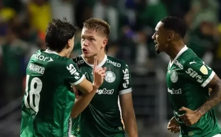Palmeiras Defeats LDU to Secure Libertadores Final Spot
