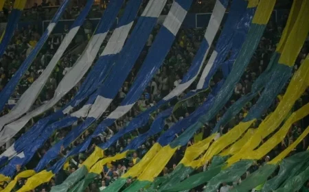 Palmeiras vs LDU: Crowd and Revenue Highlights from Libertadores Semifinal