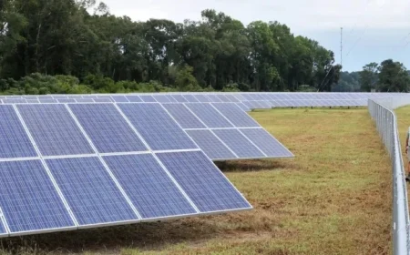 Georgia Leads Solar Growth Surge in the Southern United States, Report Reveals