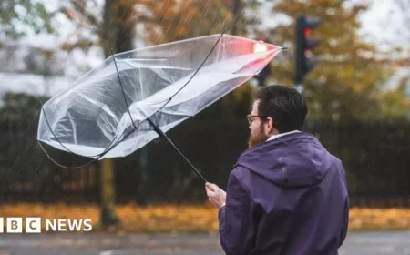 NI Weather Alert: Yellow Wind Warning as Gusts Reach 70mph