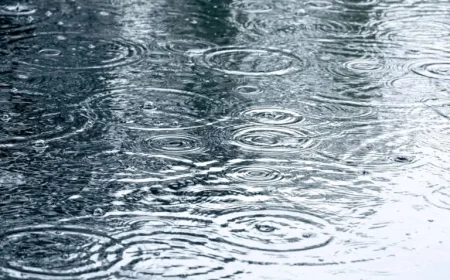 Windy Morning Showers Expected in Waterloo Tomorrow