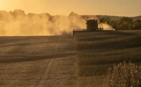 Trump’s China Soybean Deal Falls Short of Full Victory – Barron’s