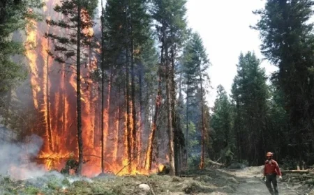 US Officials Address Wildfires with Canadian Government