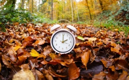 Clocks Fall Back This Weekend for Daylight Saving Time 2025