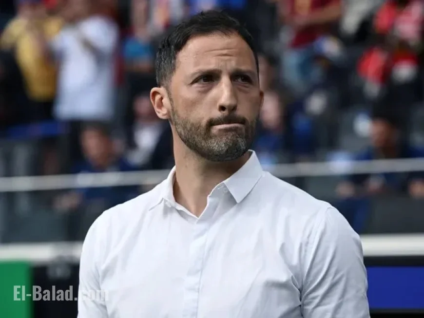 Fenerbahce vs Nice: Preview, Predictions, Team News, Lineups