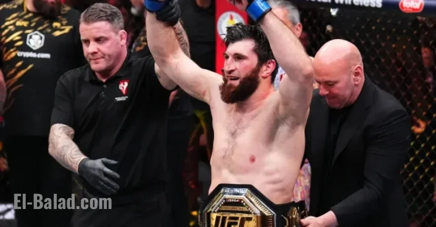 Magomed Ankalaev Targets Carlos Ulberg After UFC 320 Victory
