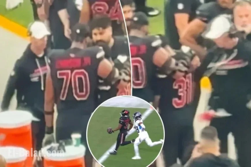Cardinals Coach Criticizes Emari Demercado in New Sideline Video