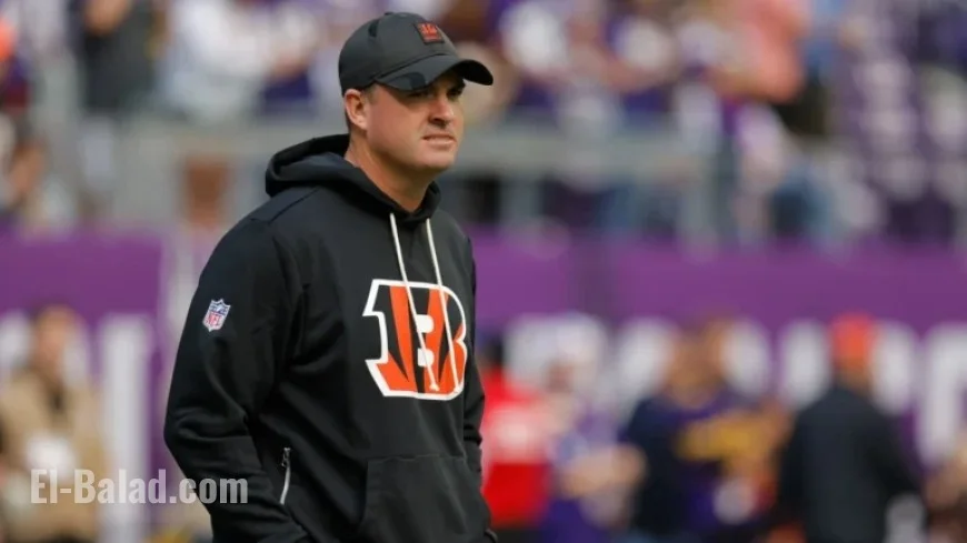 Zac Taylor to Decide Starting QB by Wednesday