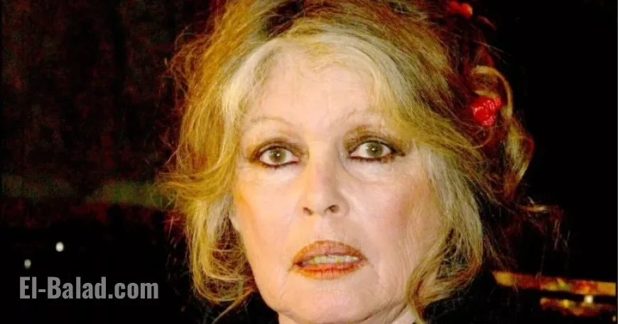 Brigitte Bardot Criticizes Motherhood: “It’s Not Worth It”