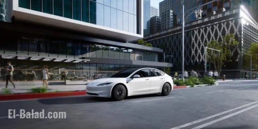 Tesla Launches Budget-Friendly Model Y and Model 3 Standard Vehicles
