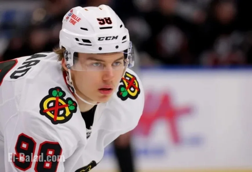Connor Bedard’s Future Contract: What to Expect?