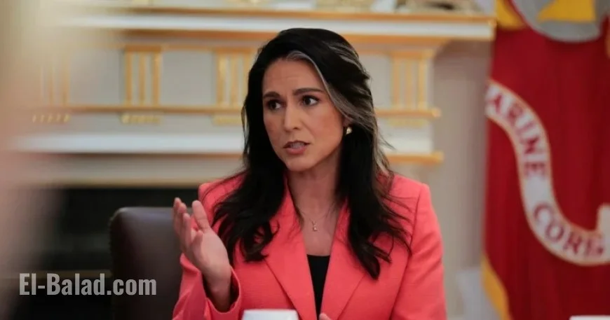 DNI Tulsi Gabbard Commands U.S. Intel Chiefs to Halt Leaks