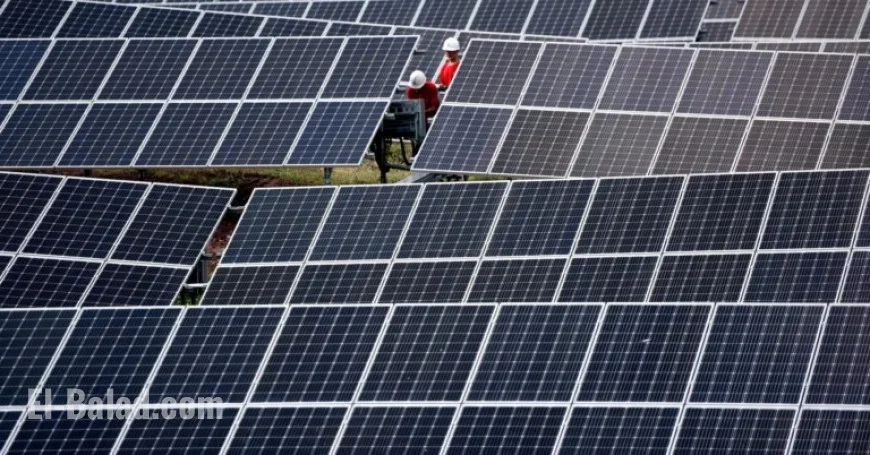 Renewable Energy Surpasses Coal in Global Power Output, Report Reveals