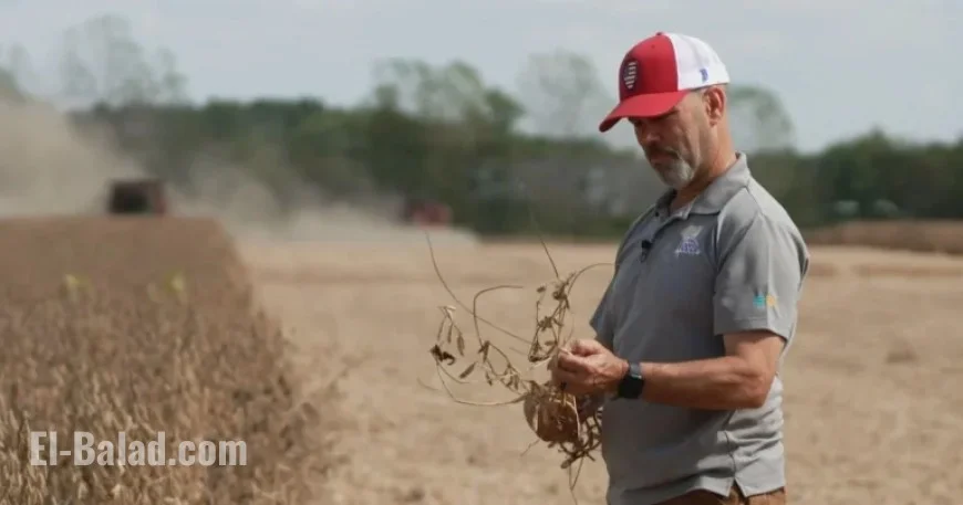 Soybean Farmer Faces Challenges from China’s Boycott in Trade War