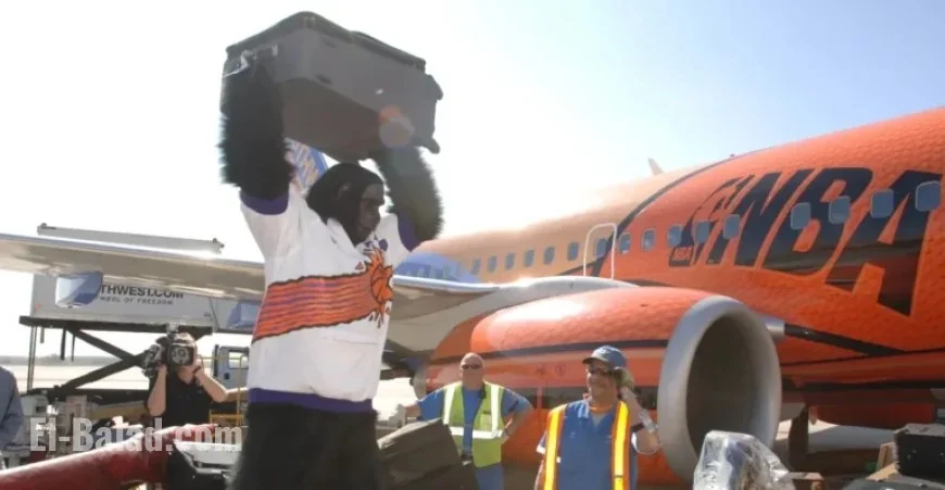 Suns Face Journey Challenge Before Competing in China