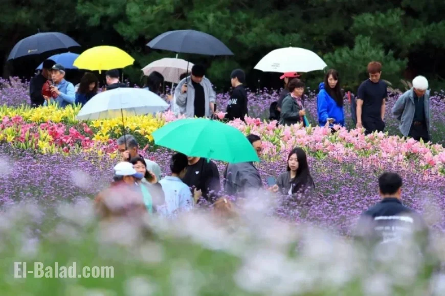 Chuseok Holiday Ends with Scattered Drizzles Nationwide