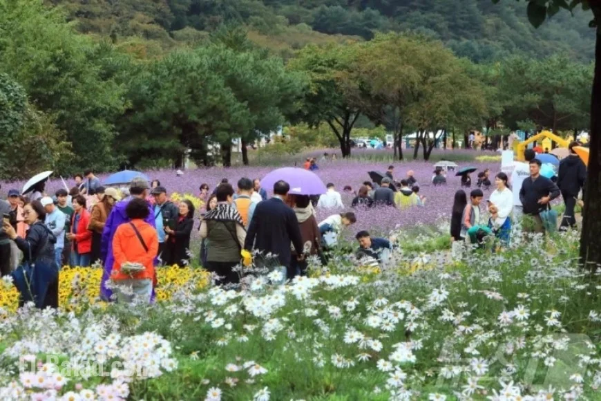 Today’s Weather: Cloudy with Occasional Rain in Gangwon