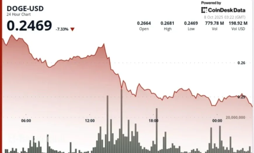 Dogecoin Drops 8% Before Whale Activity Stabilizes at $0.25