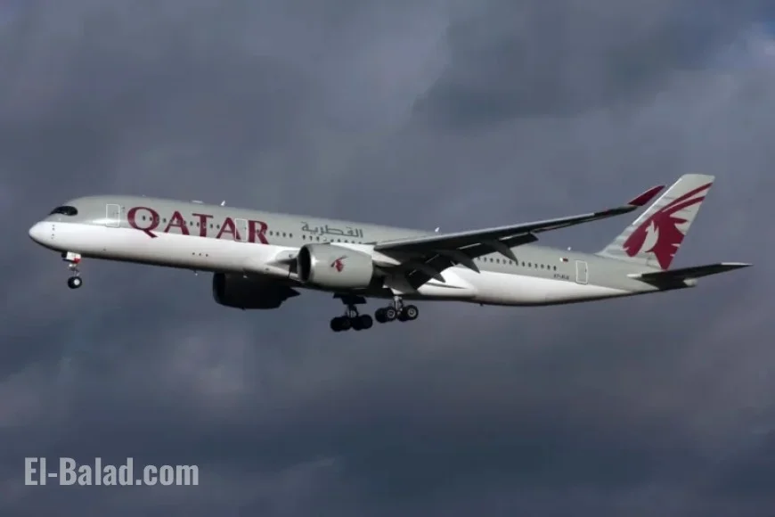 Qatar Airways Allegedly Serves Meat Meal to Vegetarian Passenger, Causes Death