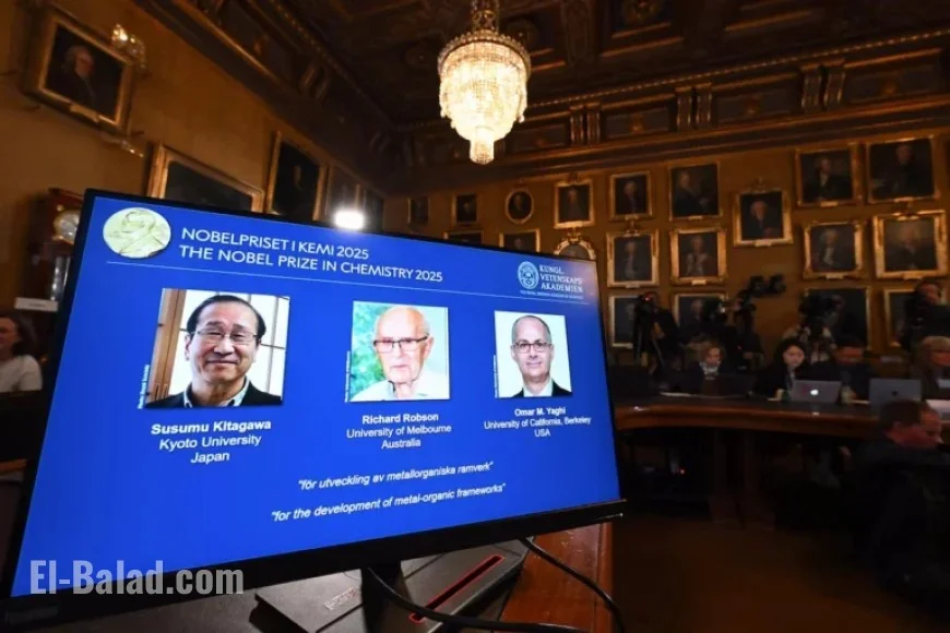 Chemistry Nobel Prize Honors Innovators of Metal-Organic Frameworks