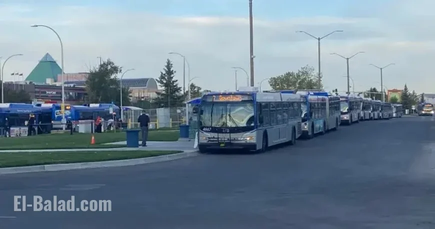 Two Stabbed in West Edmonton Mall Phone Robbery, Three Arrested