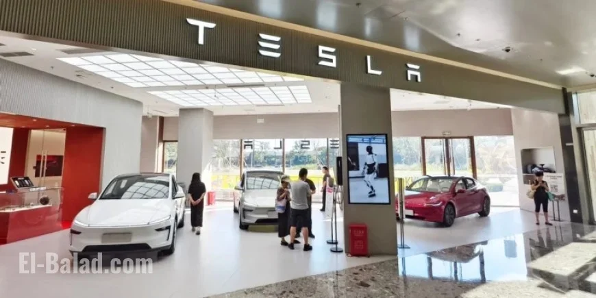 China’s Car Enthusiasts React to Tesla’s Affordable New Models