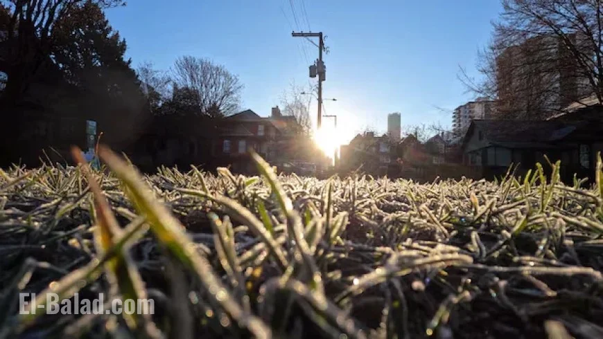 Toronto Braces for Frost Risk as Fall Weather Approaches